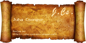 Juha Csongor névjegykártya