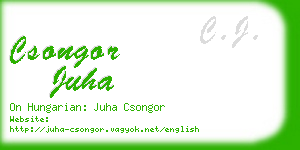 csongor juha business card